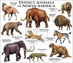 Extinct Animals Of North America Art By Mauricio Anton Which Of These Animals Would You Like To Bring Back And Extinct Animals Ancient Animals Extinction