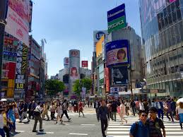 Taman ini cocok untuk anda yang berkunjung ke jepang. Travel Faizal Fredley