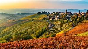 Elenco DOC e DOCG del Piemonte - Italy's Finest Wines