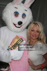 96 photos et images haute résolution de Pam Barnes