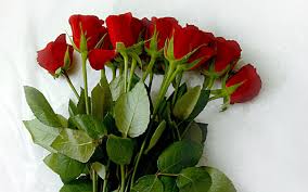Rose flowers bouquet royalty free stock image image. Download Wallpaper 2560x1600 Roses Flowers Bouquet Lies Tablecloth Hd Background