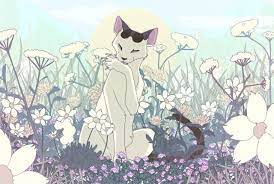Draw eyes, nose and cat's mouth, using the outline drawn in the previous step. Pin On Cats Art
