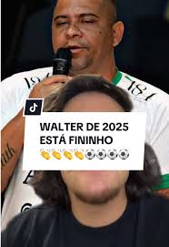 Walter's Peak Performance in Brazilian Football