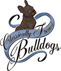 They breeder needs to be selling. Classically French Bulldogs Grand Rapids Mi 2021