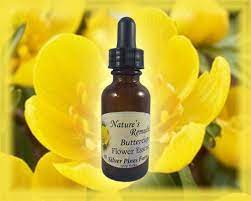 Buttercup Flower Essence Flower Essences Beauty Remedies Skin Natural Remedies