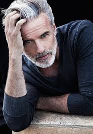 Gray Haired Silver Fox: