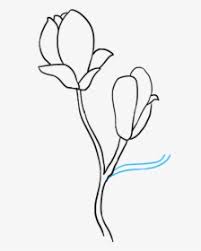 Trillium Drawing Flower Sampaguita Flower Drawing Easy Hd Png Download Kindpng Sampaguita (サンパギータ) is the third entry in the interactive anime visual novel series yarudora, produced by sony … following. sampaguita flower drawing easy hd png