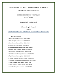 Trabajo grupal sobre la tarea del primer parcial sobre teoría del derecho