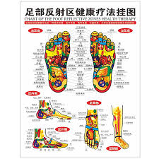 1pc Standard Reflexology Charts Of Tcm Foot Acupoint Health Center Decorative Painting Sketch Map