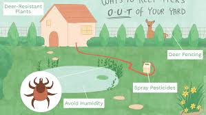 How To Control Ticks In Your Yard