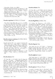 Image result for Caloncoba crepiniana