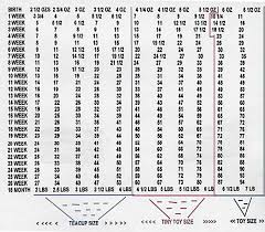 Chihuahua growth chart weight and size calculations. Maltipoo Puppies For Sale Weight Chart Www Maltipoopuppies Us