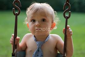 Stock Image Search Results