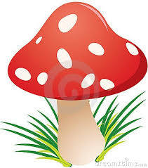 Funky Toadstool Mushroom Drawing School Wall Art Mushroom Art Free online cartoon maker and comic creator. pinterest