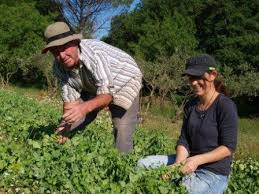 Paniers Fruits Et Legumes Bio Aix Marseille 13 Bouches Du Rhone Fiche D Un Producteur Bio De Ma Terre