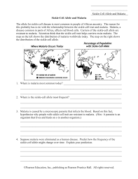 Sickle Cell Allele And Malaria Worksheet