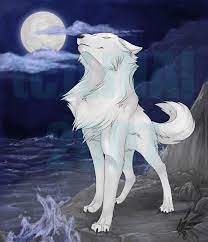 Wolf's rain is an original anime created by keiko nobumoto, the screenwriter for cowboy bebop. Darkwolf14 Photo Wolf Wolf With Blue Eyes Anime Wolf Wolf Drawing