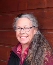 Colorado Independent Redistricting Commissions