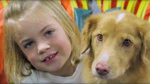 20 Top Songs About Dogs