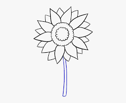 This beautiful sunflower sketch has been drawn freehand with a graphite pencil and finished with a. Sun Flower Drawing Sunflower Drawing Black And White Easy Png Image Transparent Png Free Download On Seekpng