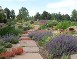 Peck, who also taught sustainable landscaping at front range community college, helped us answer a few landscaping and gardening questions submitted through colorado wonders. Colorado Landscaping Pictures Gallery Landscaping Network
