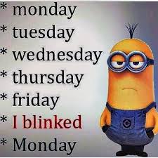 Funny saturday images and quotes. Los Angeles Minions Quotes 12 38 06 Pm Saturday 28 May 2016 Pdt 30 Pics Funny Minion Quotes Funny Minion Memes Minions Quotes