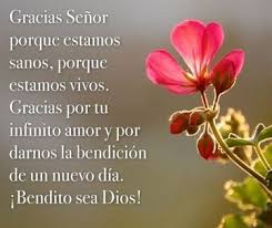 Lindas Postales De Agradecimiento A Dios Para Compartir Agradecimiento A Dios Oracion Para Dar Gracias Agradecimiento Por Felicitaciones