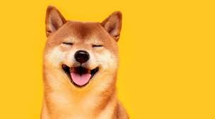 In the last 24 hours shib price is up 5.40%. Shiba Inu Shib Coin Alinir Mi Shib Coin 28 Mayis Yeniden Dususe Gecti Kripto Paralar Teknorium