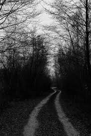 Black And White Road Road Forest Print Photo Black White Grunge Dark By 1919print Black Aesthetic Wallpaper Black White Photos Black And White Photo Wall