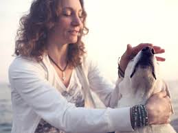 Kennt sich jemand mit der gabe von novalgin bei hunden aus?? Hund Beruhigen 10 Beruhigungstipps Bei Der Hundebetreuung Tibeo