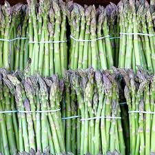 Image result for Asparagus buchananii