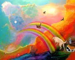 Coping With The Decision To Euthanize Rainbow Bridge Pet Loss Grief Pets