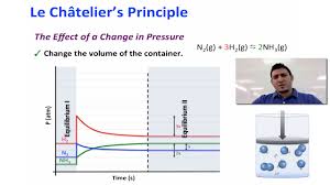 how do you graph le chateliers principle socratic