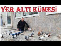 berber sahin abinin yer alti kumesi 0535 500 57 41 madenci kuslar degisik guvercin kumesleri youtube kumes kus berber