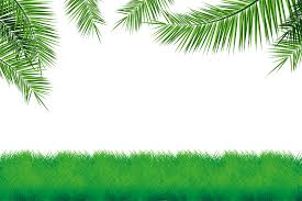 Download Grass With Coconut Leaf Illustration Graphic By Edywiyonopp Creative Fabrica SVG Cut Files