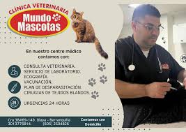 centro veterinario mundo mascotas