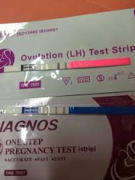 Penamaan bawang putih sendiri tidak hanya merujuk kepada tanaman ini secara keseluruhan, tetapi juga khusus untuk umbinya, bagian utama yang dijadikan bumbu dapur. 1 Hcg Urine Pregnancy Test Pregnancy Test Upt Ovulation Test Strip Opk Deaifa Marketing Ut0003554 W Www Hamil2u Com