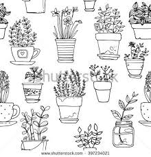 Pin On Florals Botanicals Line Drawings Doodles Sketch Ink Paint