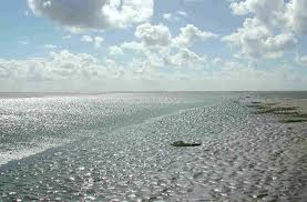 ✅ von 21 künstlern ✅ und viele weitere ideen. Gesundbrunnen Nordsee Das Wattenmeer Vor Busum