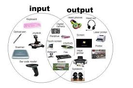 (computing) data sent out of the computer, as to output device such as a monitor or printer. Examples Of Input And Output Devices Teaching Computers Computer Projects Computer Basics