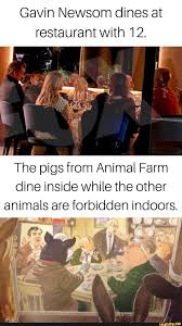 Explore and share the best gavin newsom gifs and most popular animated gifs here on giphy. Gavin Newsom Dines At Restaurant With 12 The Pigs From Animal Farm Dine Inside While The Other Animals Are Forbidden Indoors Ifunny