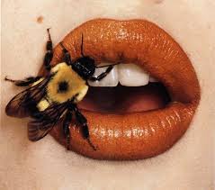 Lana Del Rey Interview Russia February 2012 Irving Penn Dallas Museum Of Art Orange Aesthetic