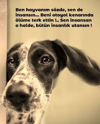 Guzel Sozler 2020 Guzel Soz Alintilar Yazar Sozleri