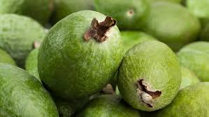 Image result for Feijoa
