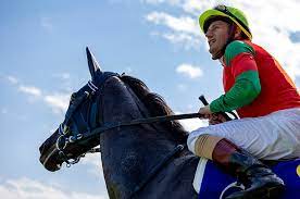 #競馬 #ユーバーレーベン #参考 #オークス 馬券攻略の参考に!今回の動画はオークス2021参考動画です!是非最後までご視聴頂き、皆様の競馬. Yvt662mdbrwdlm