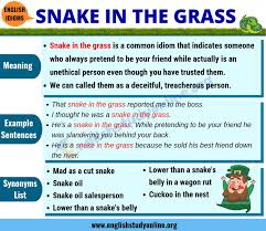 Snake In The Grass Definition Useful Examples Synonyms List English Study Online Snake In The Grass English Study English Idioms