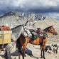 Backcountry Equestrian Camping Workshop