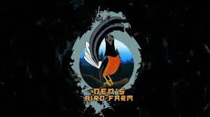 Burung jenis ini sekarang penyebarannya di w. Logo Murai Keren Youtube
