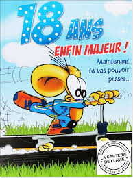 Je n'ai qu'un conseil à te donner : Texte Anniversaire Humoristique 18 Ans Bowenspeterson Blog