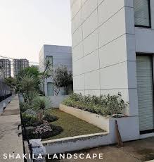 Por quien votar en las primarias : Tukang Taman Salatiga Shakila Landscape